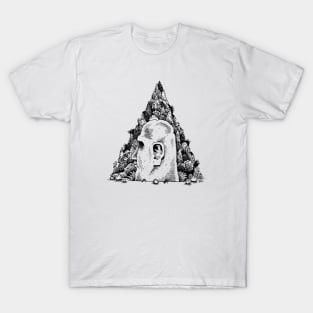 Stone Temple T-Shirt